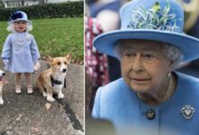 Photo of Una bimba di 1 anno si traveste da regina Elisabetta e la madre invia le foto a Buckingham Palace: la sovrana risponde con una lettera