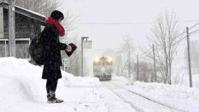 Photo of Una compagnia mantiene attiva la linea ferroviaria fino a quando la sua unica passeggera non finisce la scuola: la vicenda riecheggia in rete e diventa virale